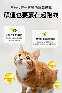 月亮都睡觉了·采集到宠物/chongwu