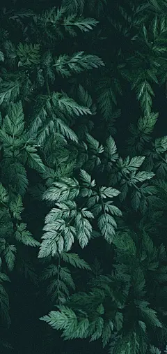 壁纸 风景壁纸 旅行