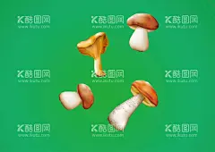 矢量手绘香菇蘑菇  - 源文件下载【酷图网】矢量蘑菇,矢量香菇,手绘香菇,手绘蘑菇,蘑菇,猴头菇,真菌,野生蘑菇,菌类,伞形蘑菇,香菇,青菜,蔬菜插画,蔬菜,矢量蔬菜,绿色果蔬,新鲜蔬菜,