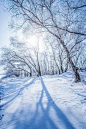 雪创意图片图片素材_ID:VCG21400748beb