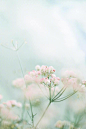 早安，春 节。 ​​​​