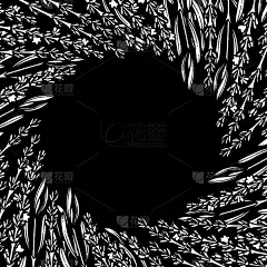 熏衣草,插画,式样,健康保健,请柬,法国,婚礼,装饰物,绘制,花