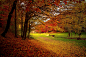 autumn-forest-woods-nature-aee5cf2e72801b033af5460e33d3ab5a.jpg (3456×2304)