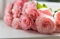 Selective Focus Photography of Pink Peony Flowers