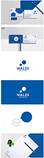 Wales Education品牌形象设计 设计圈 展示 设计时代网-Powered by thinkdo3 #设计# #logo#