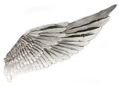 #七点GAME# #游戏美术# #绘画参考#
翅膀写生参考 ​​​​