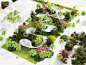 佛罗里达家庭泳池 pool home proposals in florida by NL architects | 灵感日报