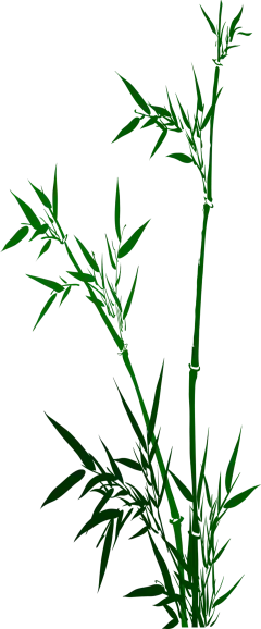 组 1