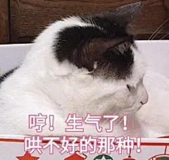 猫咪表情包合集｜你都没有胸，凶什么凶_宠物频道_东方资讯