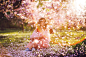 Kristina Makeeva在 500px 上的照片Blossom