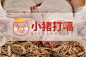 小猪打嗝logo设计
