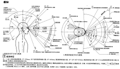 大友设计采集到人机工程