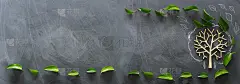 教育与经营理念。俯视图旗帜的木树和绿叶在教室黑板的背景