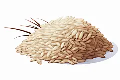 坚果腊八节杂粮干果插画