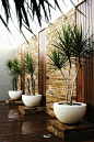 trends - woody plants in containers....A great entry pathway that would lead to the backyard. Could build it up in nice wood.: