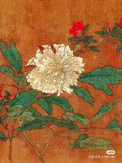 草芙蓉       来自分享