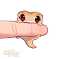 a frog with big eyes sitting on top of a pink object in the shape of a pillow