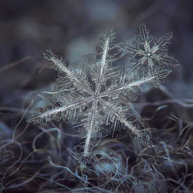 晶体霜花