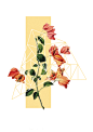 Springtime on Behance