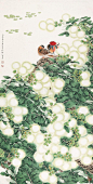 周彦生作品选——富丽花鸟