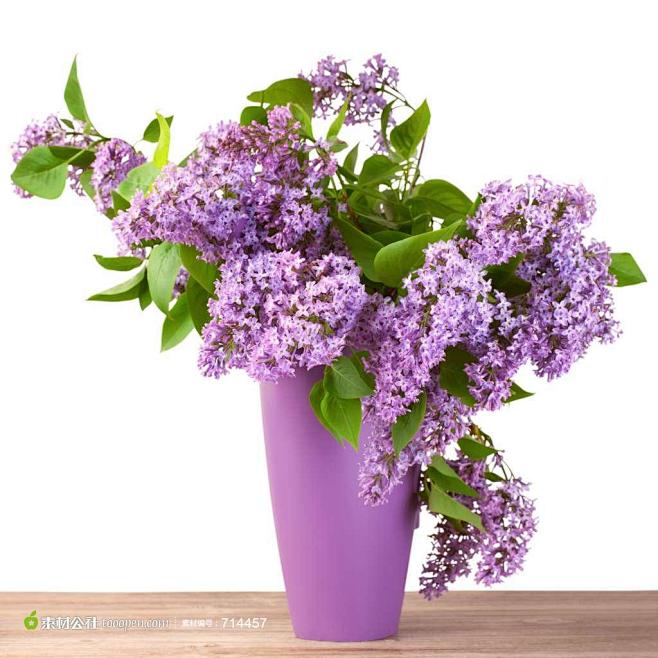 丁香花插花图片