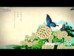 喵了个咪～采集到广告 | 视频