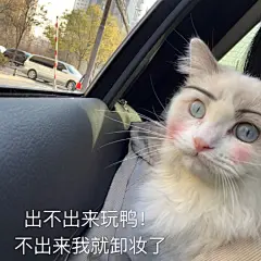 新的一个月就要来新的钱

月头表情包转里送300rmb叭！
12月要暴富鸭！！！
说下冬天最想得到什么吧！说不准实现了呢
后天开。 ​​​​