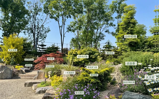 植物配置实景 (87)图片_植物配置图片素材-花瓣网