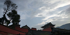 淡淡丫采集到走过路过错过