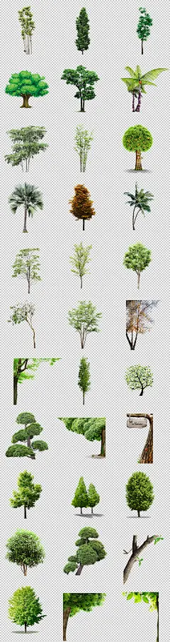 绿色大树树木树丛植物柳树PNG免扣素材