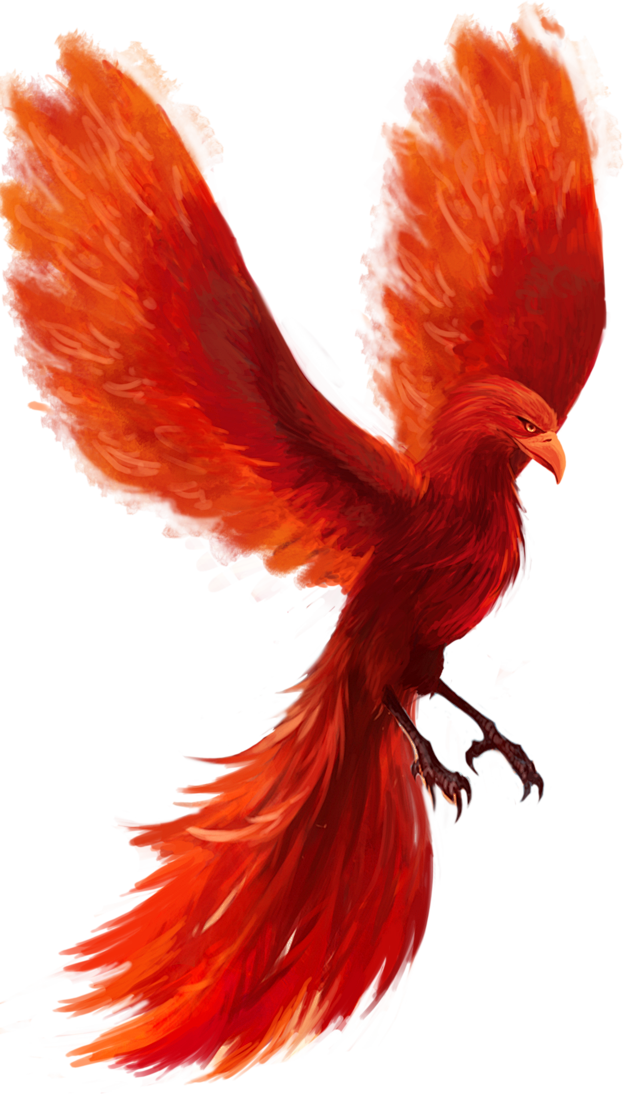 凤凰海报素材背景红色火焰凤凰png元素