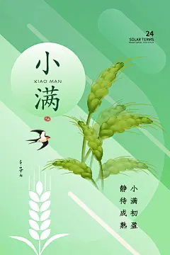 绿色背景稻穗夏季二十四节气小满海报