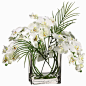 Tori Home 20" Phalaenopsis with Glass Vase: 