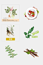 清新手绘中医药材草本植物免抠元素