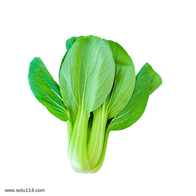 蔬菜油菜高清新鲜的蔬菜摄影实拍图片png...
