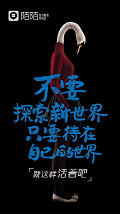 就知道采集不会关注吗采集到休闲