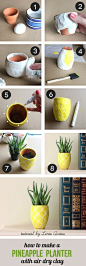 Give your tiny plant friends the pineapple planter they deserve.