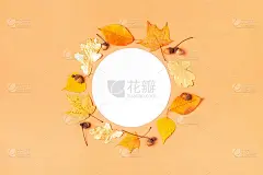 粉彩秋叶背景上，复制空间