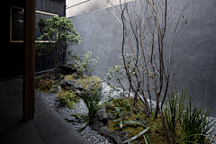 -小河蟹-采集到设计 | 天井