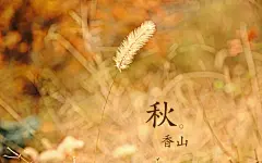 香山秋日主题超高清壁纸桌面壁纸2