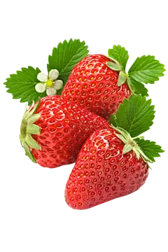水果 新鲜草莓  PNG