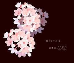 foX40m84采集到花卉