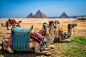 Egypt - Lonely Planet :      In spite of political, financial and social turmoil, Egyptians remain proud and defiant and are as welcoming as ever to visitors to their land.