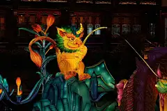 锦鲤灯会的搜索结果_百度图片搜索