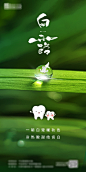 白露海报-志设网-zs9.com
