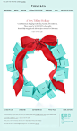tiffany.  final days for the holiday. holiday email. simple clean email campaign design.: 