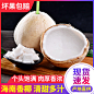 海南白椰子椰皇香椰嫩椰新鲜水果椰果肉8个装椰汁应当季三亚特产1