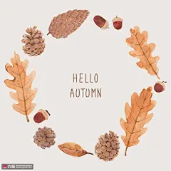 枯黄树叶松塔松果手绘边框秋季插画 季节插画 夏季插画