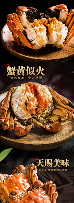 静心草采集到蟹