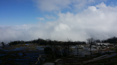 且听雨聆采集到元阳梯田